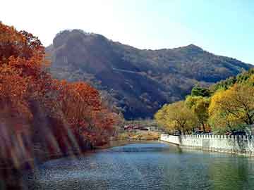 管家婆黑白马报图库，toshiba代理